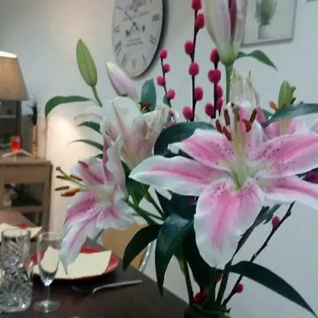 B&B Les Hautes D'anastasia 로데즈