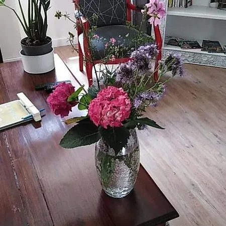 Les Hautes D'anastasia Oda ve Kahvaltı