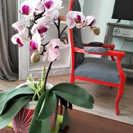 Les Hautes D'anastasia Oda ve Kahvaltı 4*