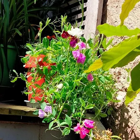 Les Hautes D'anastasia Rodez